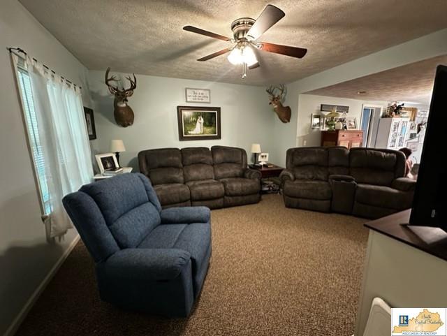199 Cody Trent Road Edmonton, KY 42129 - Photo 12 of 21 Gallery Image 12