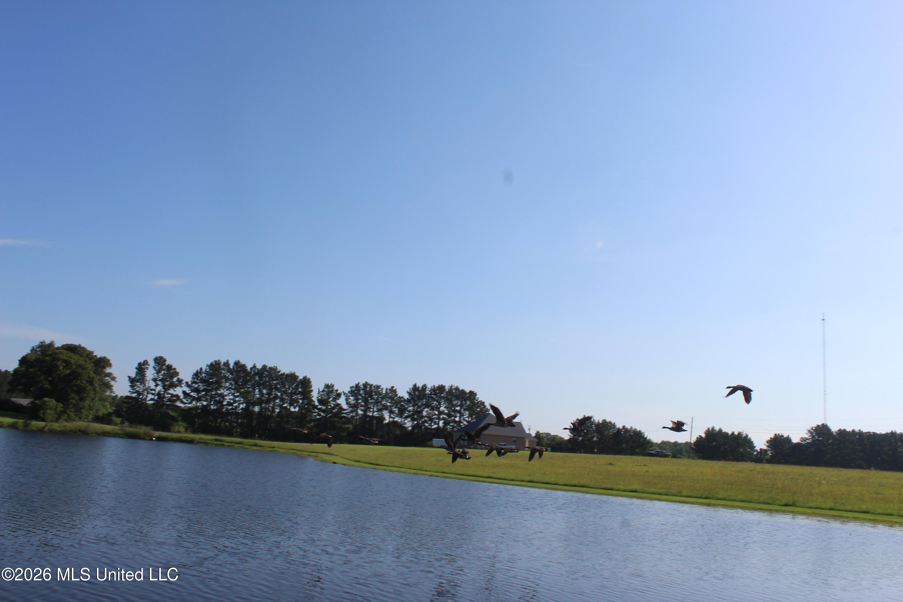 Southeast Maura Lane Southeast Brookhaven, MS 39601 - Photo 19 of 20 2 ac Harper Lake Estates (14)
