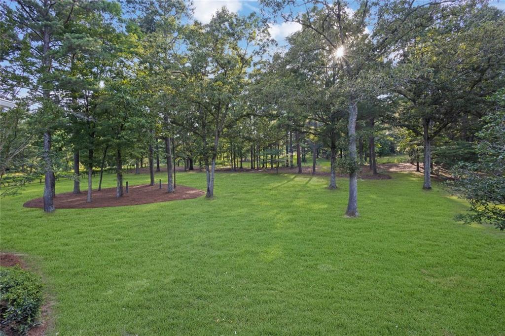 164 Snead Road Fayetteville, GA 30215 - Photo 55 of 56