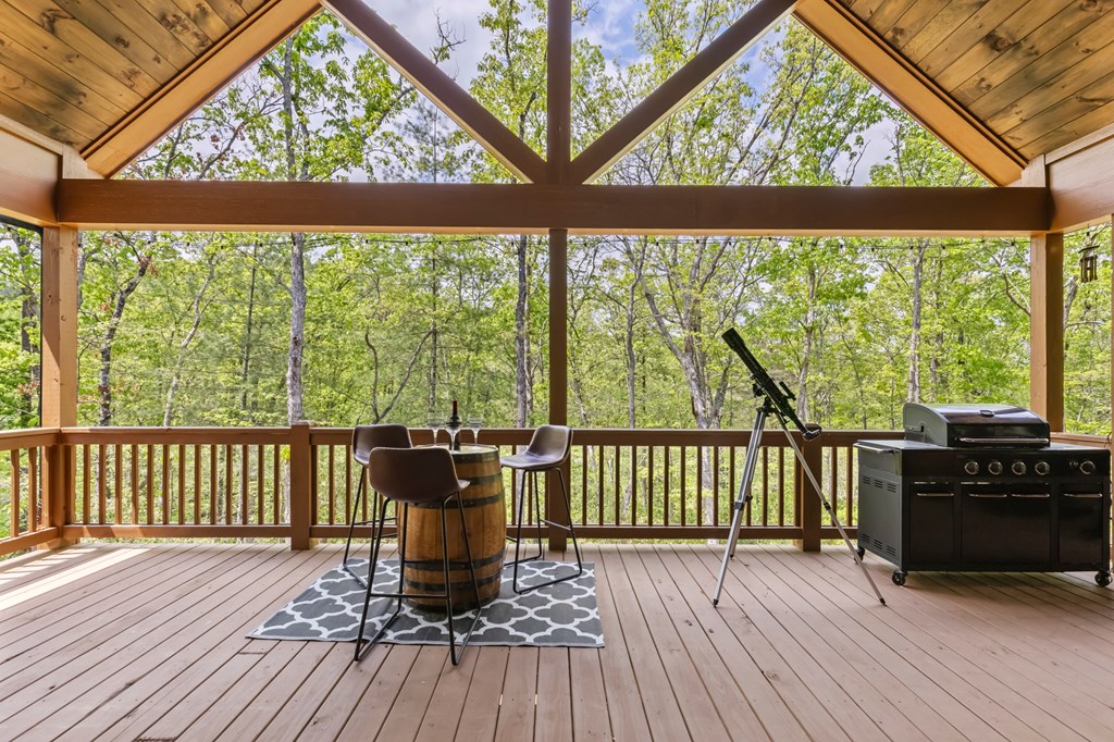 595 Arp Road Mineral Bluff, GA 30559 - Photo 27 of 56