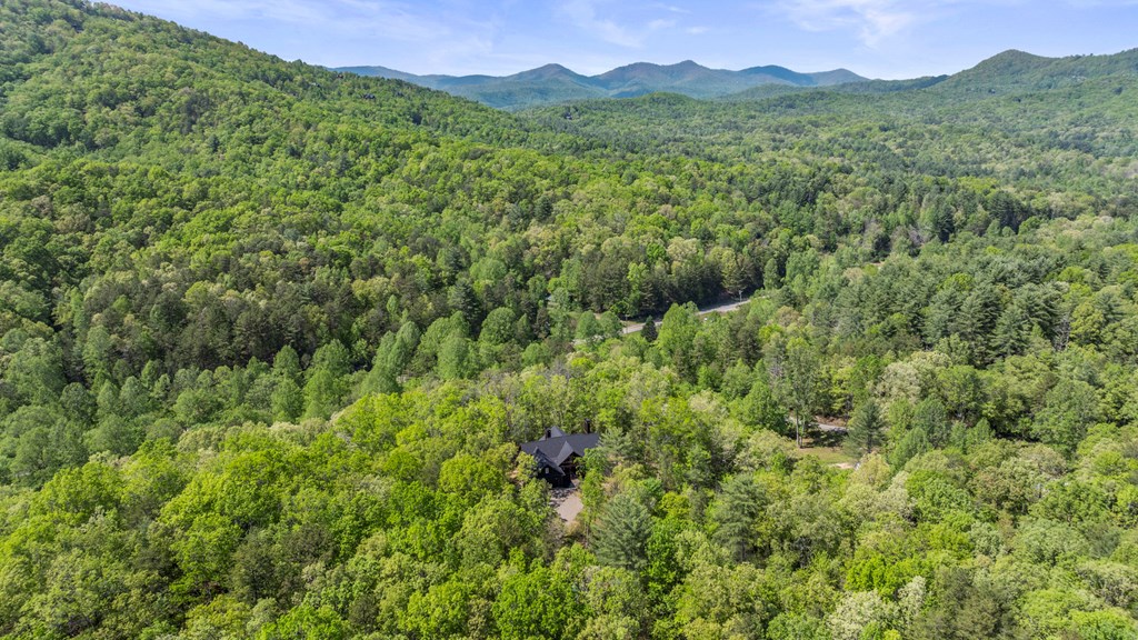 595 Arp Road Mineral Bluff, GA 30559 - Photo 43 of 56