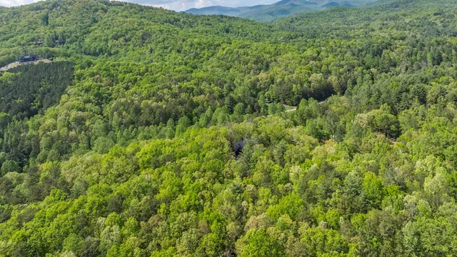 $995,000 | 595 Arp Road, Mineral Bluff, GA 30559