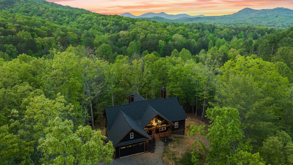 595 Arp Road Mineral Bluff, GA 30559 - Photo 56 of 56