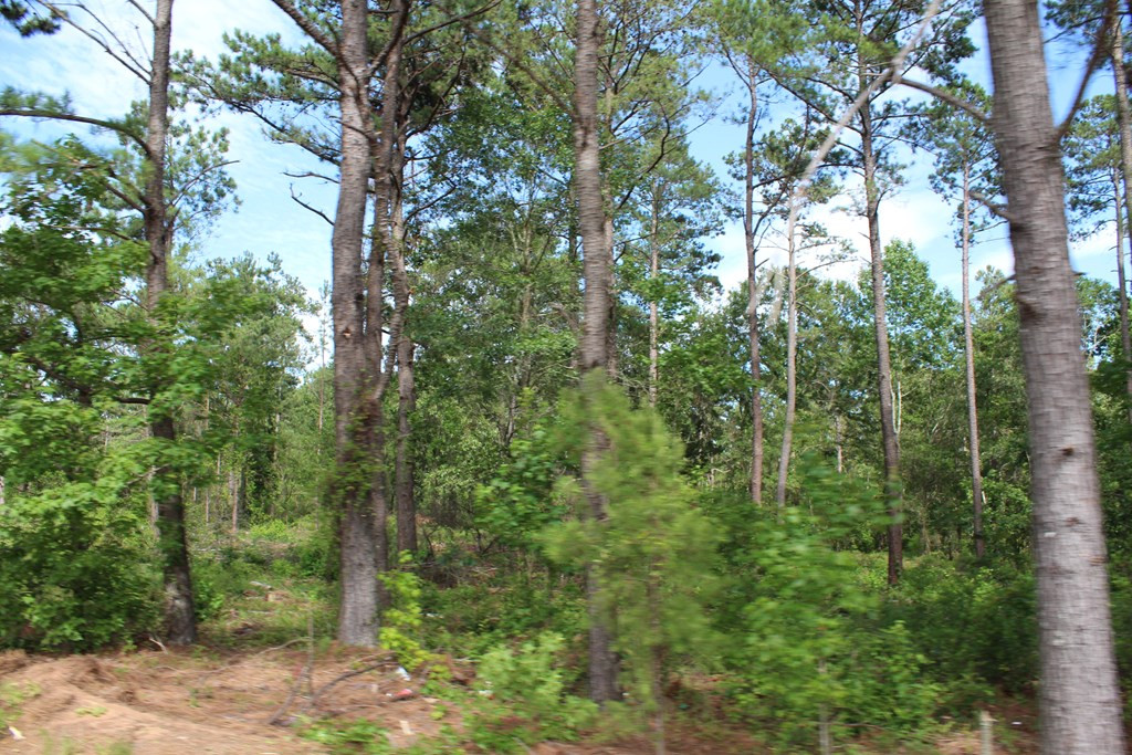 3375 Peach Orchard Road Dalzell, SC 29040 - Photo 3 of 3