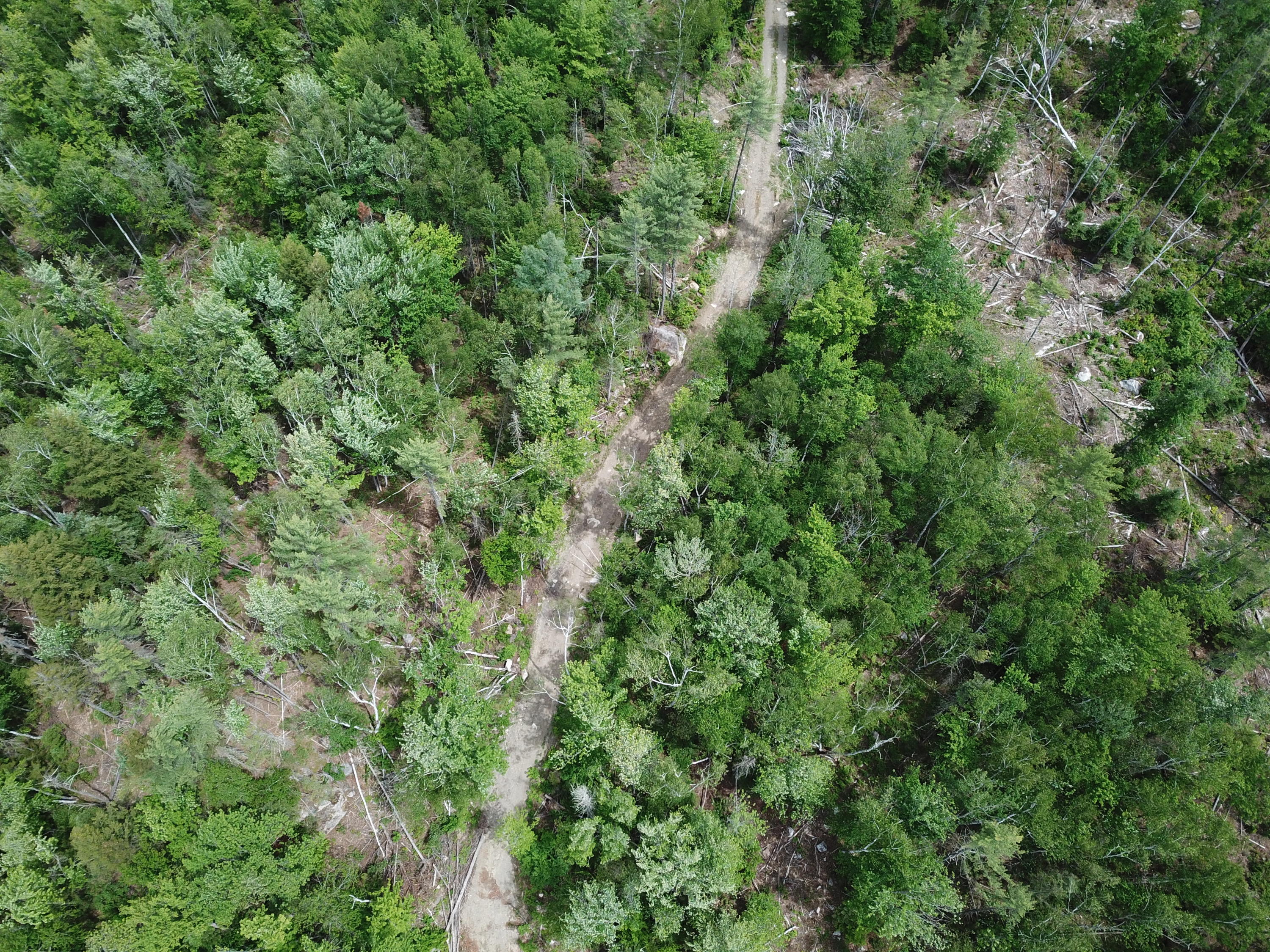 Mr10-l21 River Road Avon, ME 04966 - Photo 24 of 39 DJI_0529