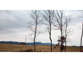 0 Doolittle Road Mosheim, TN 37818 - Photo 1 of 1 More Pics Coming Great Land