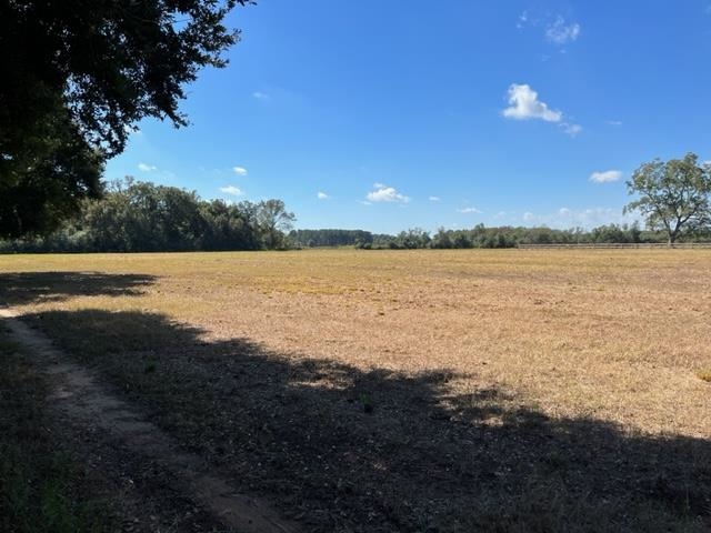 Bull Springs Road Robertsdale, AL 36567 - Photo 5 of 28