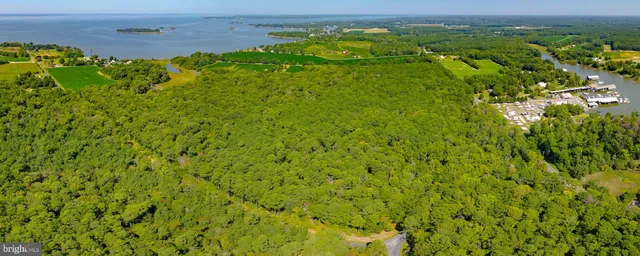 a view of a fountain