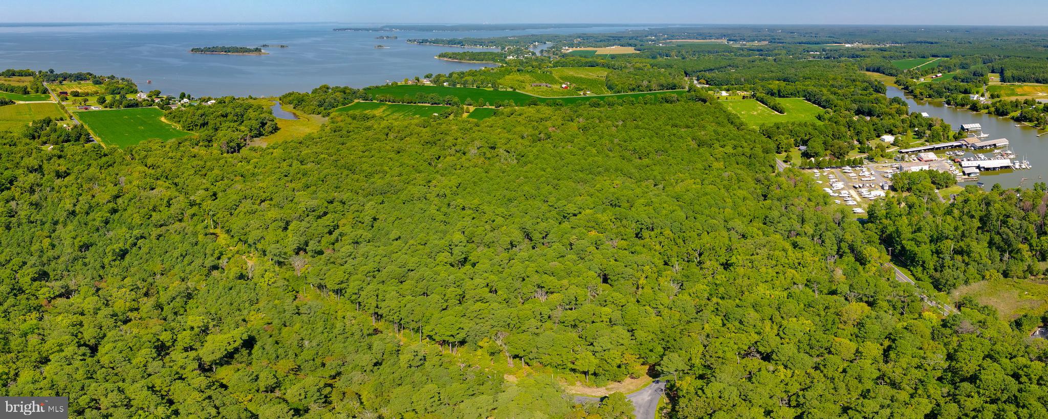 0 Waterloo Road Coltons Point, MD 20626 - Photo 3 of 8