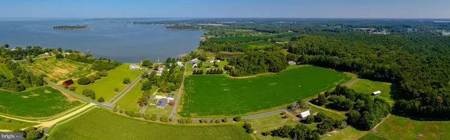 a view of a green yard with large trees
