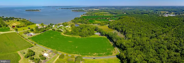 a view of a bunch of trees and bushes