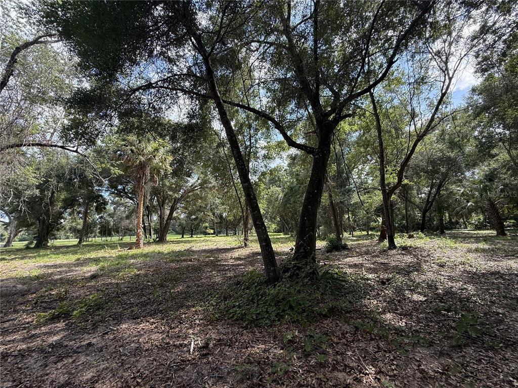 620 Cochran Road Geneva, FL 32732 - Photo 7 of 11