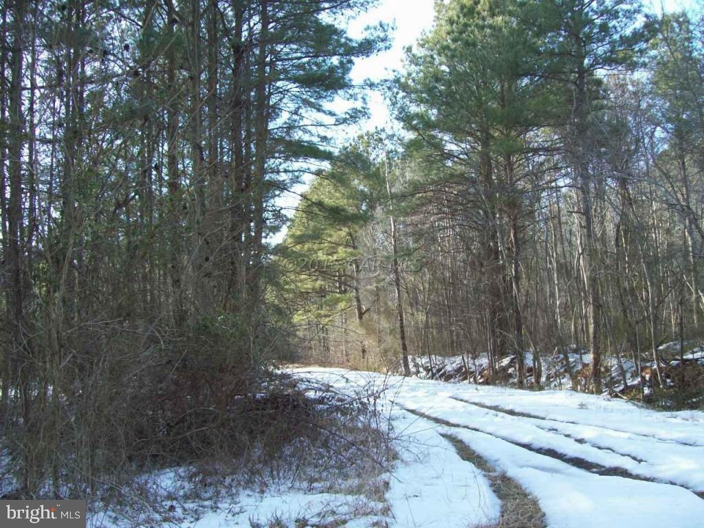 159 Nutter Road Nanticoke, MD 21840 - Photo 13 of 27 Gallery Image 13