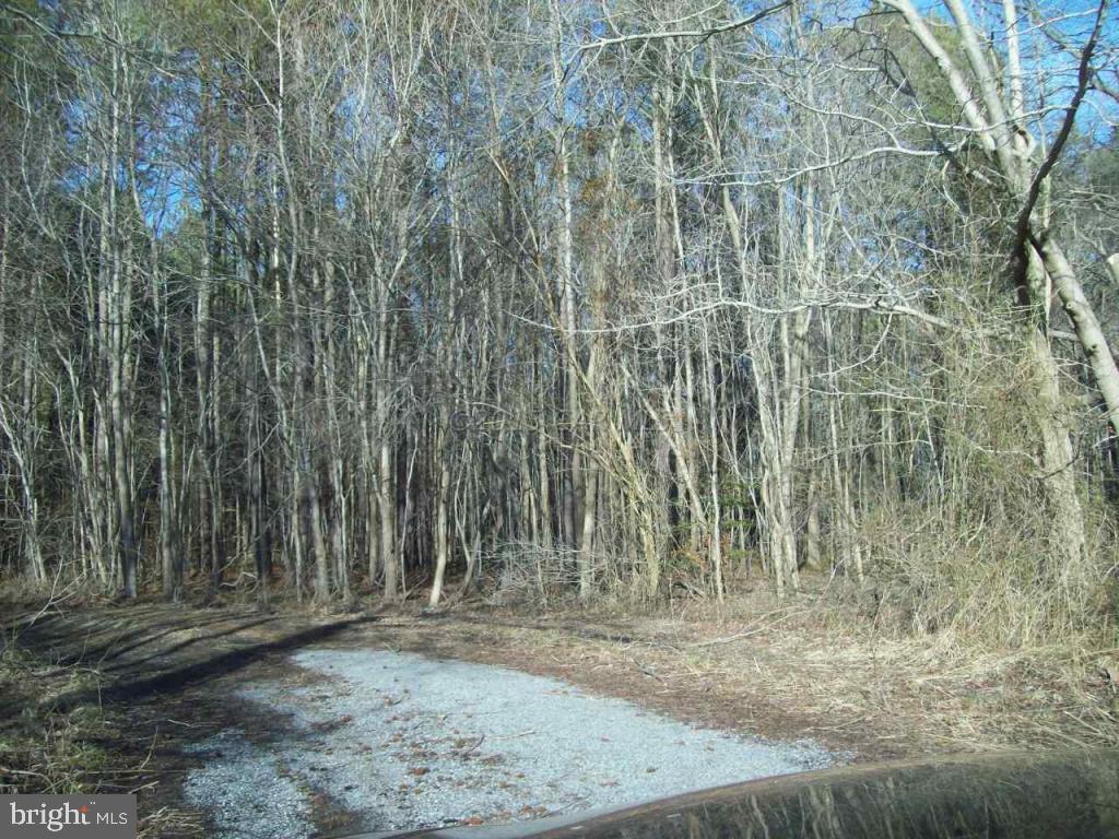 159 Nutter Road Nanticoke, MD 21840 - Photo 15 of 27 Gallery Image 15
