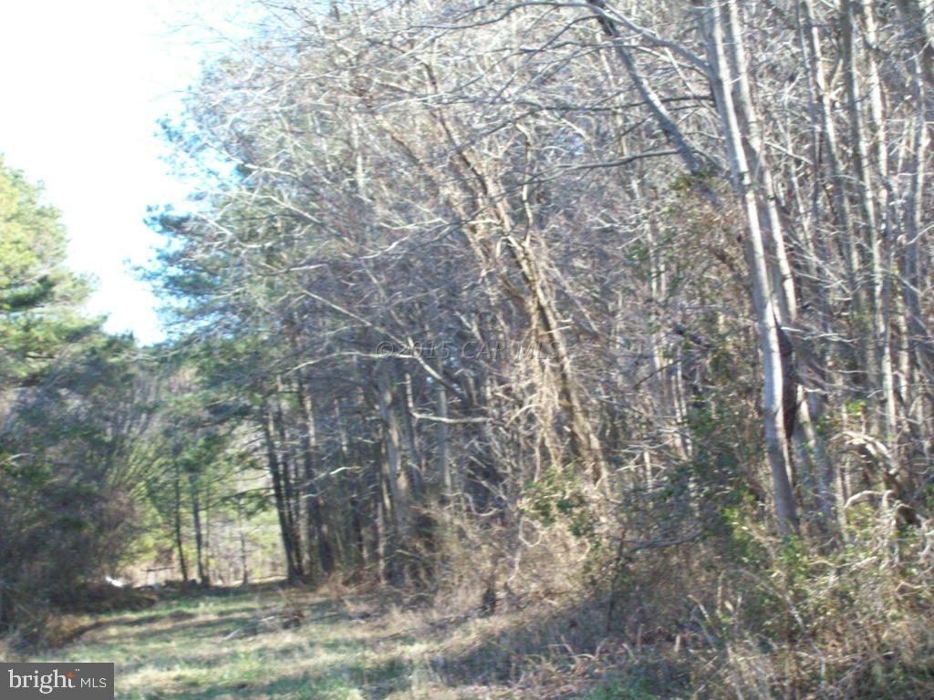 159 Nutter Road Nanticoke, MD 21840 - Photo 17 of 27 Gallery Image 17