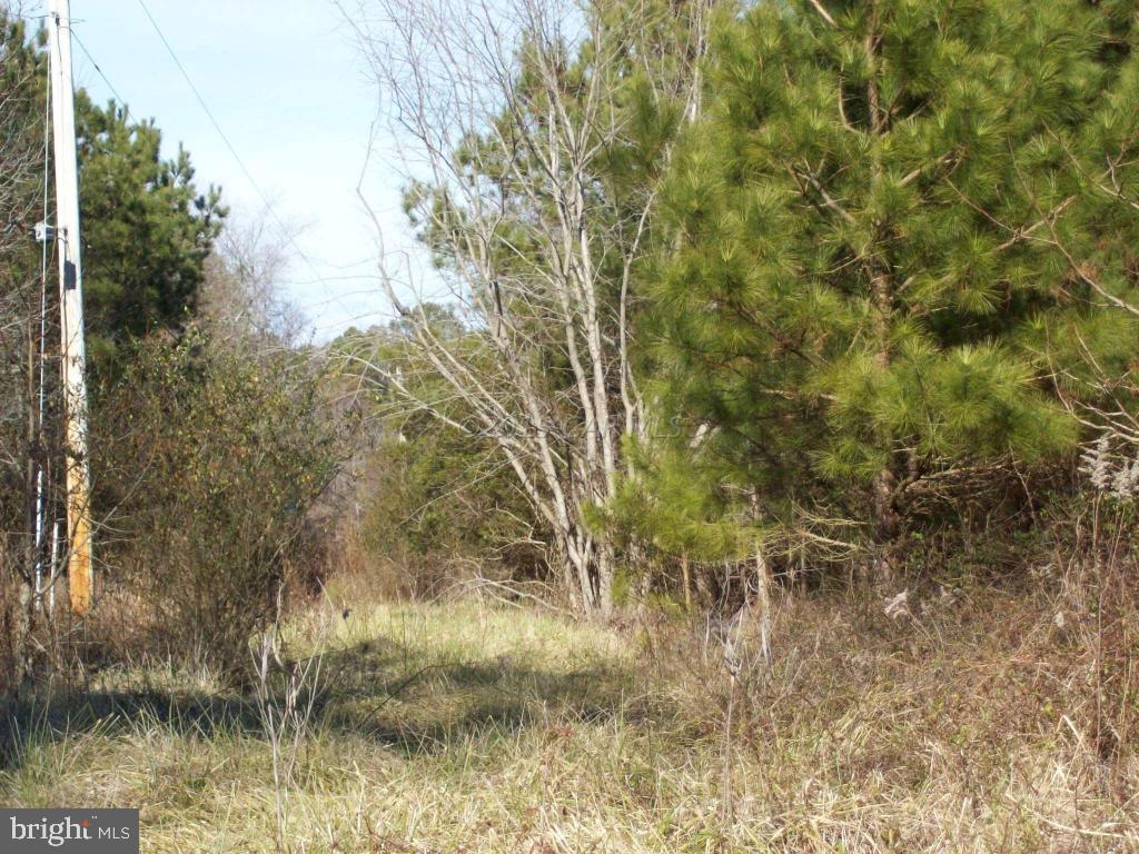 159 Nutter Road Nanticoke, MD 21840 - Photo 20 of 27 Gallery Image 20