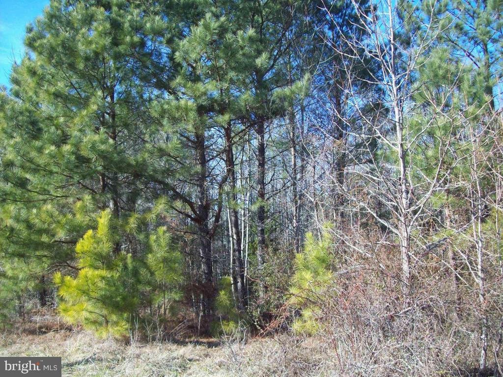 159 Nutter Road Nanticoke, MD 21840 - Photo 21 of 27 Gallery Image 21
