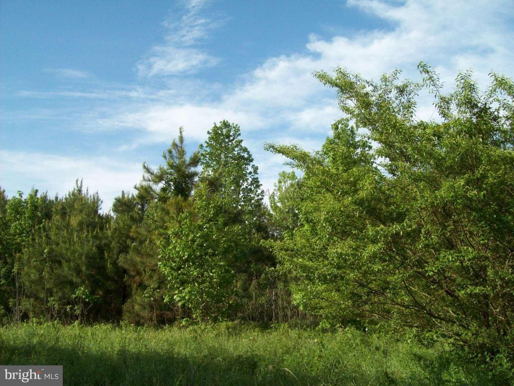 159 Nutter Road Nanticoke, MD 21840 - Photo 23 of 27 Gallery Image 23
