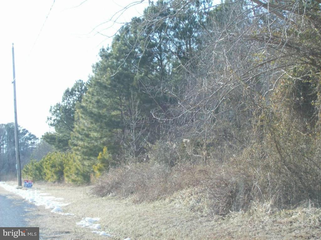159 Nutter Road Nanticoke, MD 21840 - Photo 8 of 27 Gallery Image 8