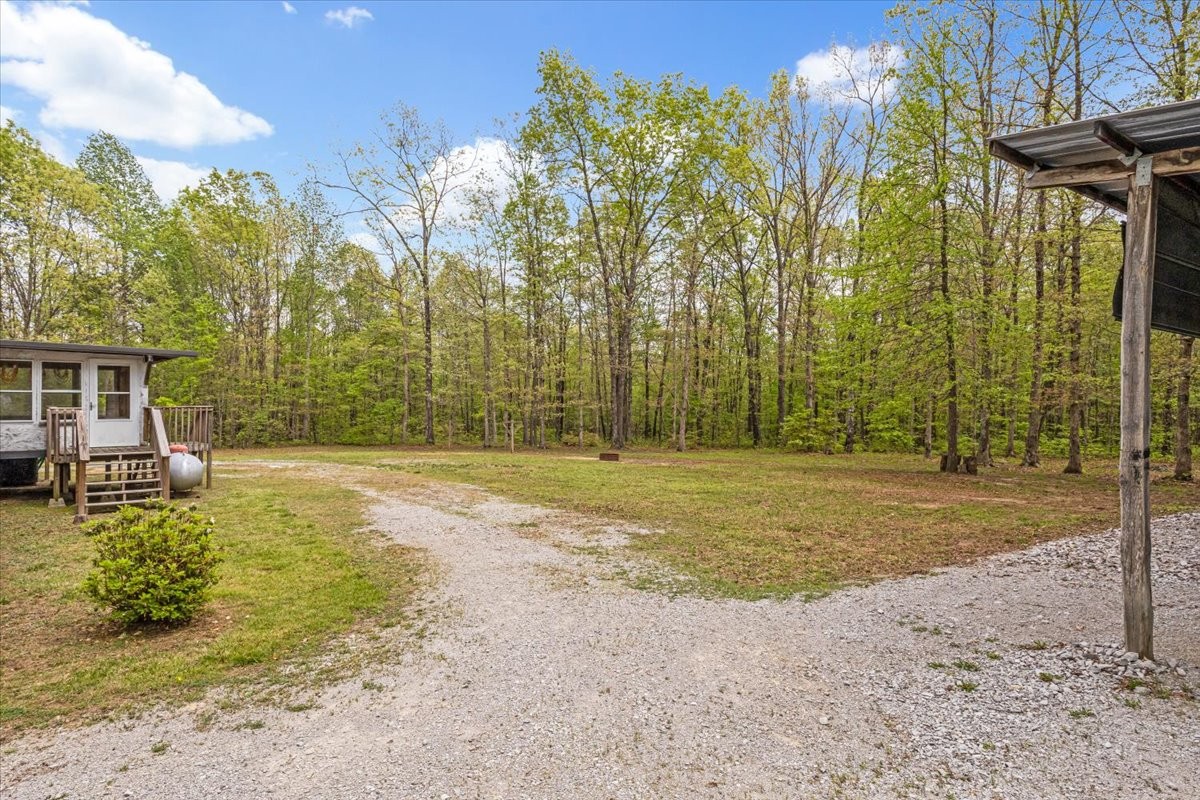 264 McBain Road Altamont, TN 37301 - Photo 10 of 46 Gallery Image 10