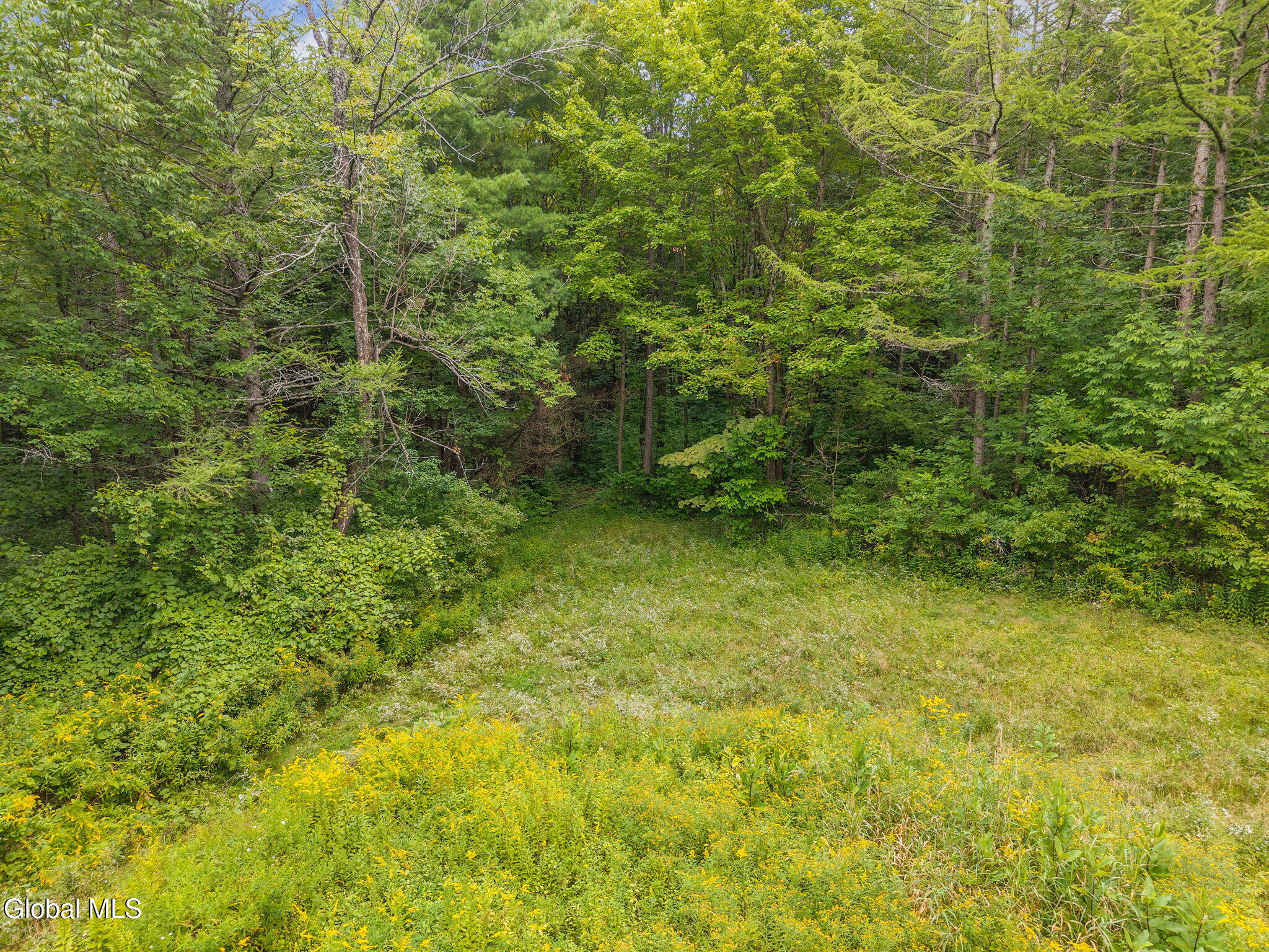 139 Auser Road Charleston, NY 12066 - Photo 61 of 66 62-139AuserRd_055