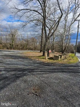 a view of dirt yard with large trees