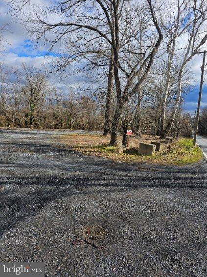 Michaels Mill Road Adamstown, MD 21710 - Photo 3 of 4 a view of dirt yard with large trees