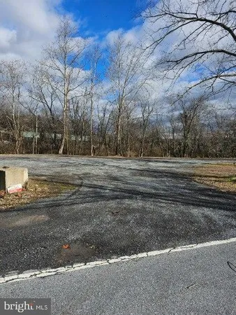 a view of a yard with large trees