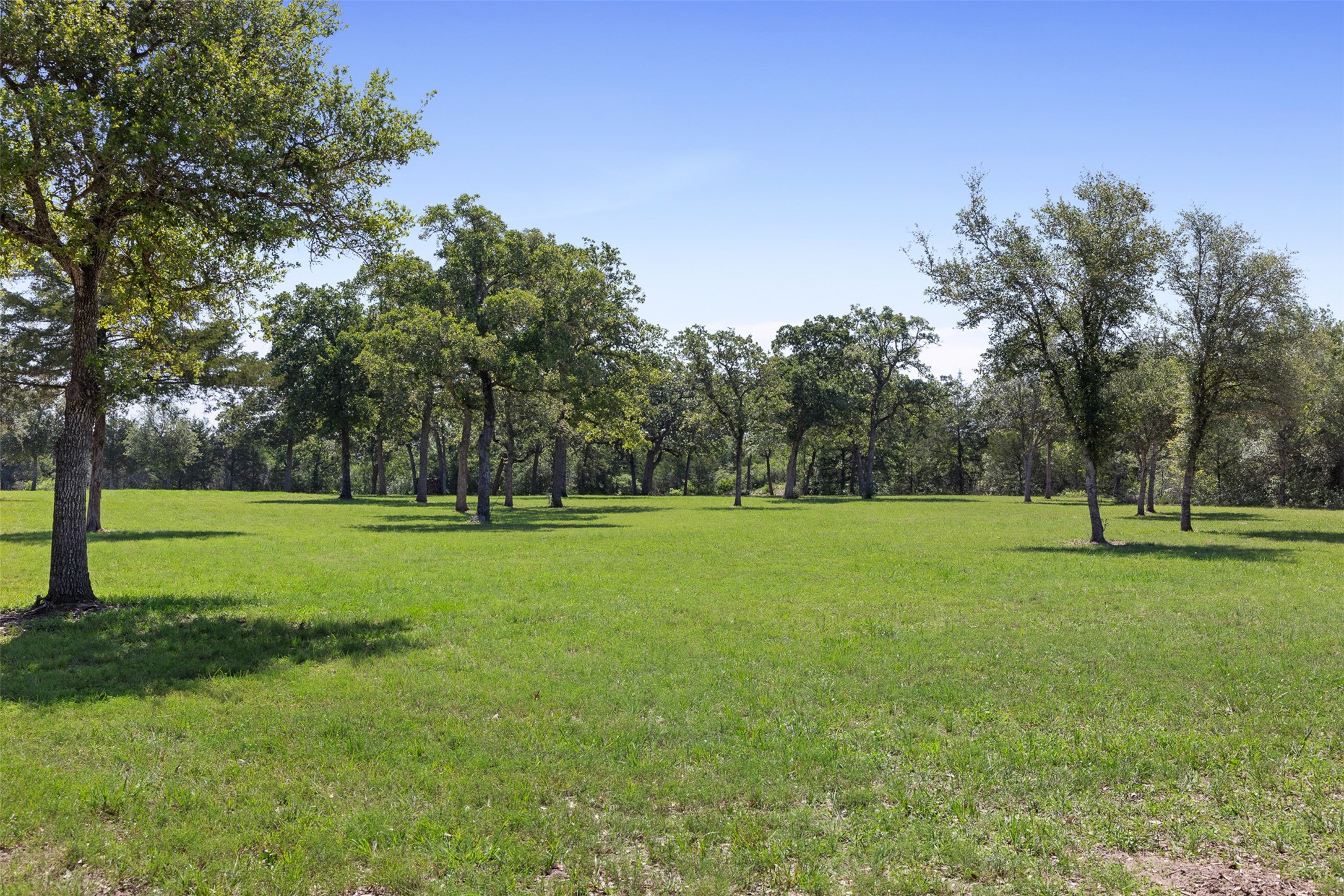 2215 Oak Ridge Road Weimar, TX 78962 - Photo 5 of 36