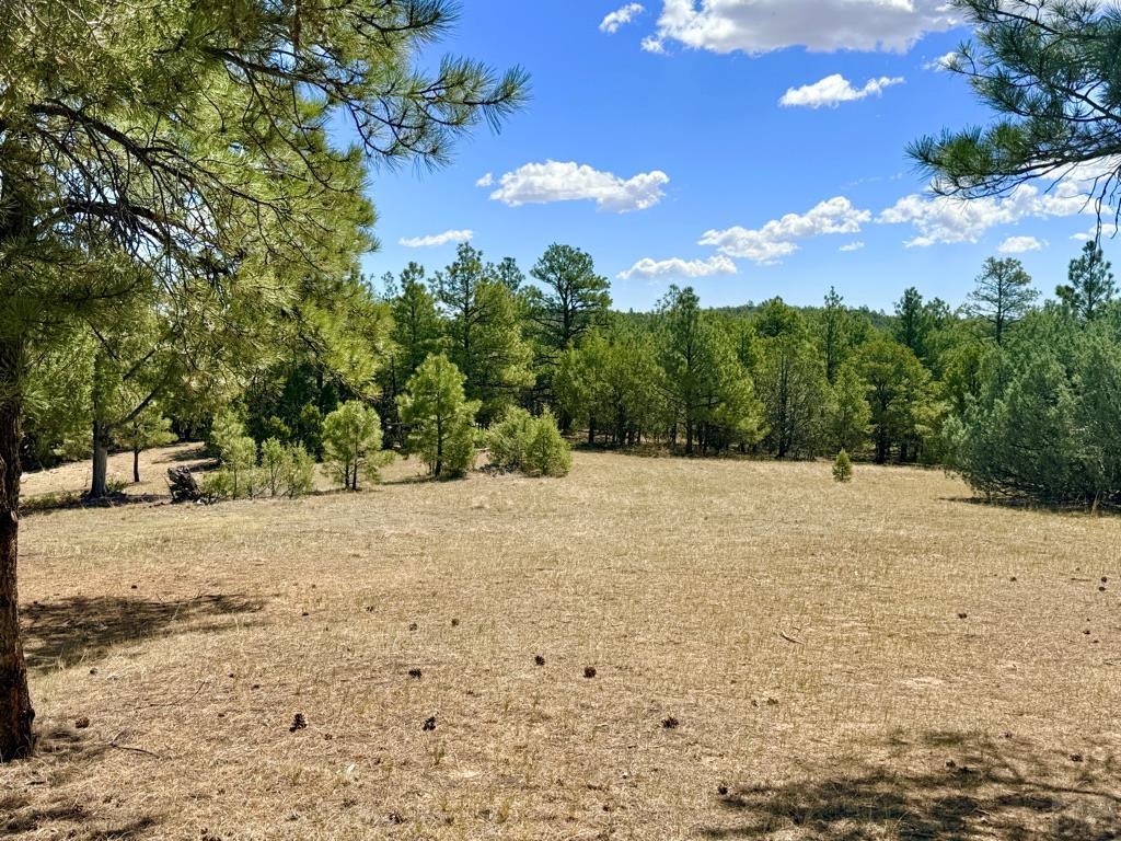 538 Rugby Mines Road Walsenburg, CO 81089 - Photo 12 of 70