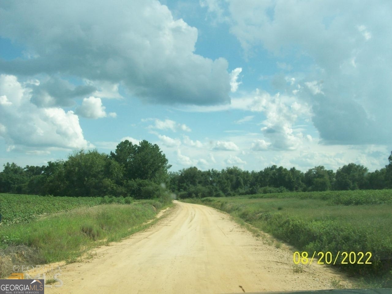 650 Tom Howard Farm Road Vienna, GA 31092 - Photo 3 of 13