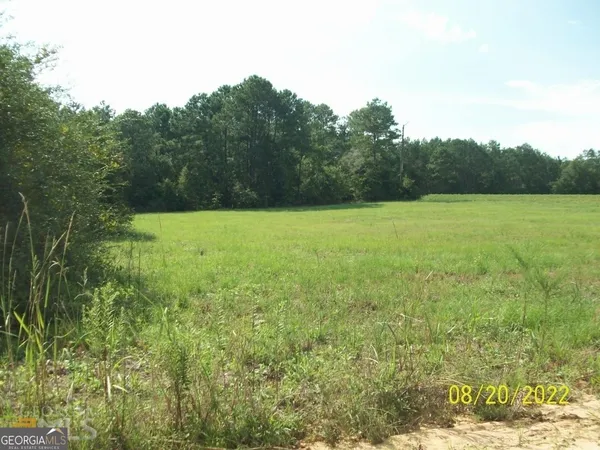 $165,000 | 650 Tom Howard Farm Road, Vienna, GA 31092