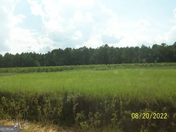 $165,000 | 650 Tom Howard Farm Road, Vienna, GA 31092