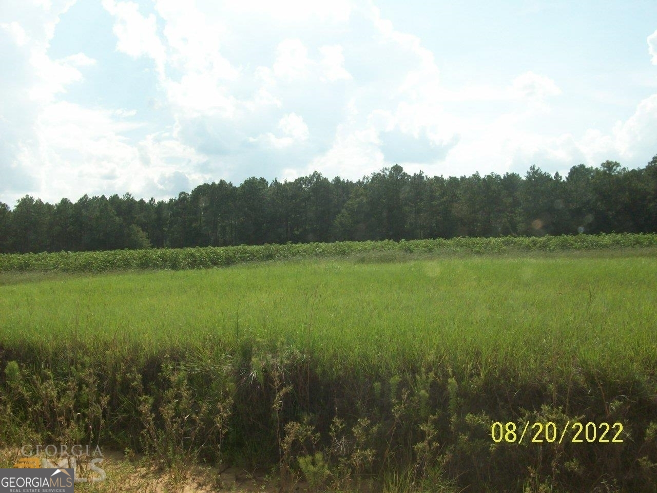 650 Tom Howard Farm Road Vienna, GA 31092 - Photo 7 of 13