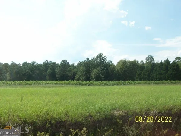 $165,000 | 650 Tom Howard Farm Road, Vienna, GA 31092