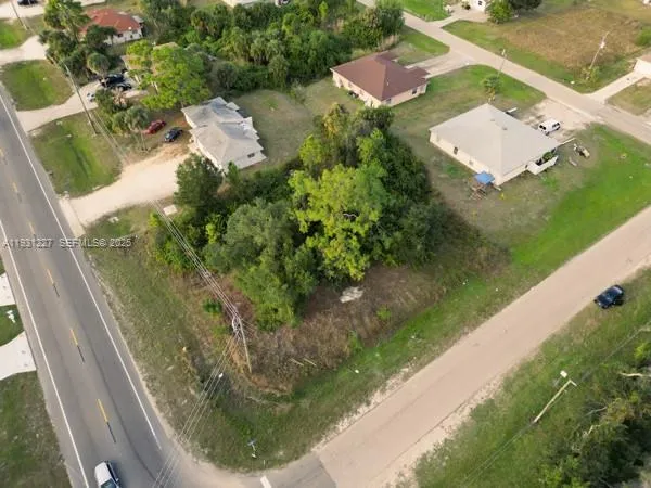 an outdoor view of garden