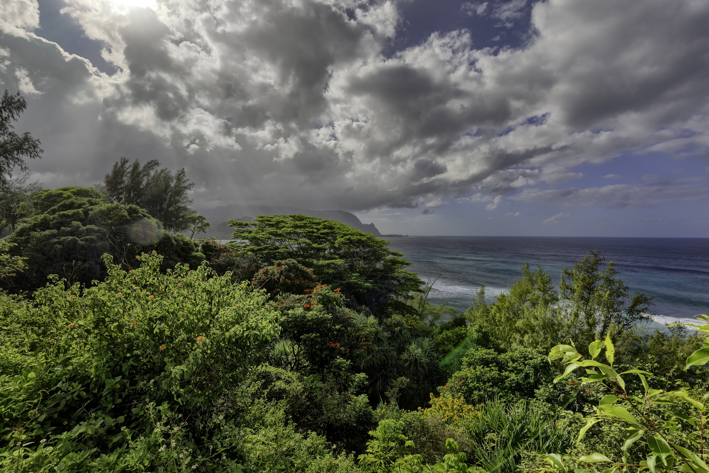 5451 Ka Haku Road, Unit 8 Princeville, HI 96722 - Photo 13 of 14 a view of a bunch of plants and trees