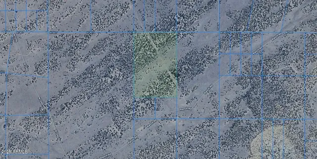 a view of a dry yard