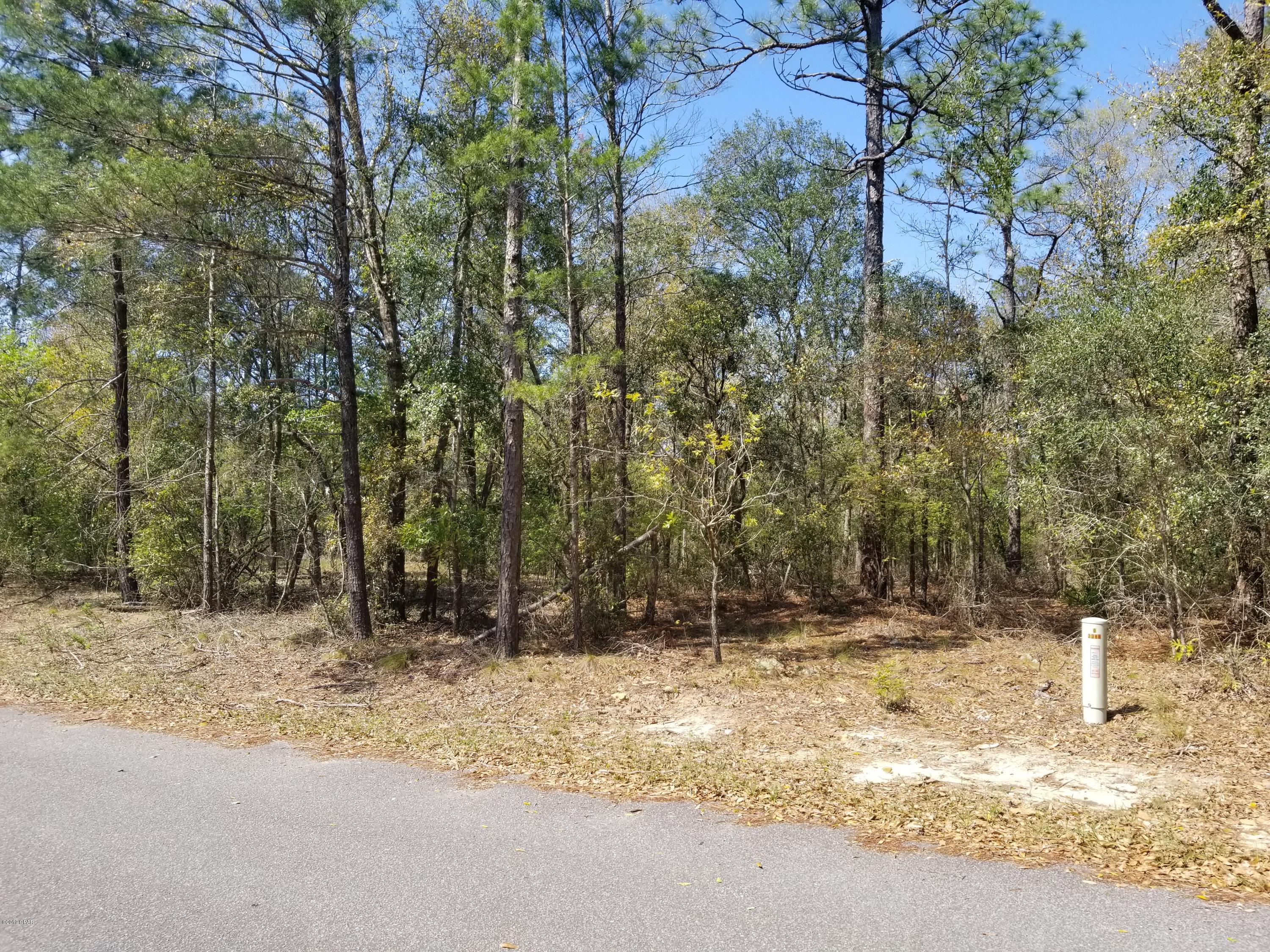 0 Spendabuck Court Chipley, FL 32428 - Photo 2 of 10 Gallery Image 2
