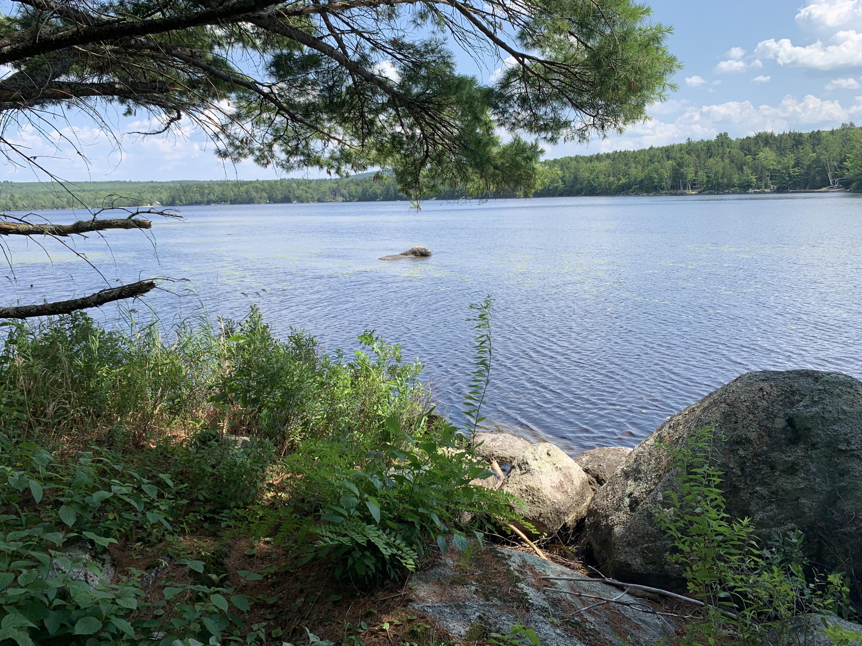 Lot 20 Madagascal Pond Road Burlington, ME 04417 - Photo 5 of 11 Photo Jul 30, 1 22 40 PM