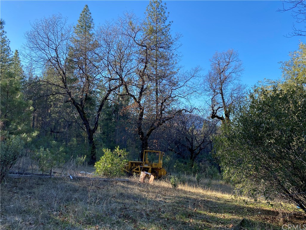 0 Elams Ranch Road Oroville, CA 95966 - Photo 1 of 8 Gallery Image 1