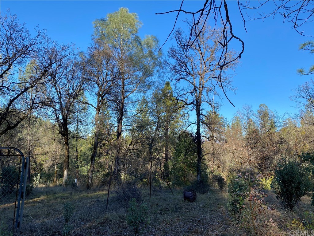 0 Elams Ranch Road Oroville, CA 95966 - Photo 3 of 8 Gallery Image 3