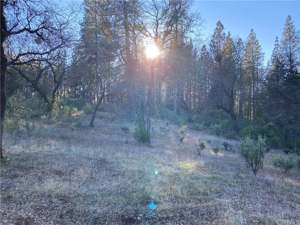 0 Elams Ranch Road Oroville, CA 95966 - Photo 5 of 8 Gallery Image 5