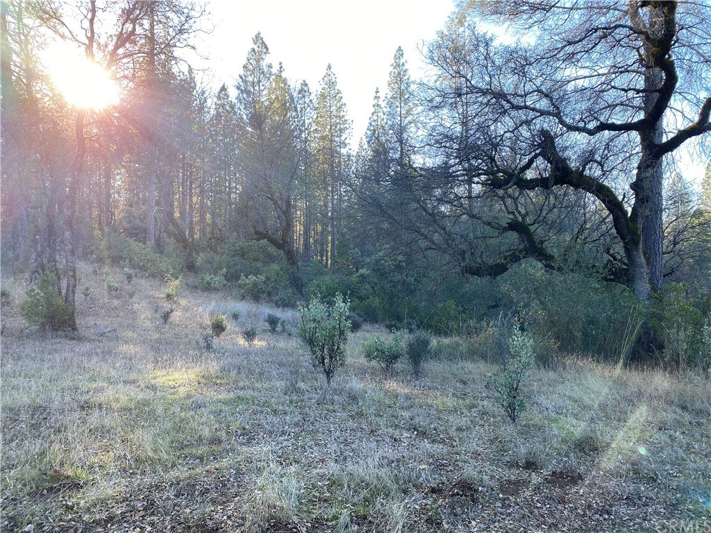 0 Elams Ranch Road Oroville, CA 95966 - Photo 6 of 8 Gallery Image 6
