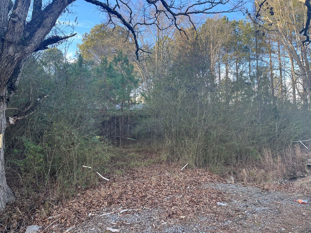 4093 Mt Pleasant Road Cohutta, GA 30710 - Photo 6 of 6 a backyard of a house with lots of green space