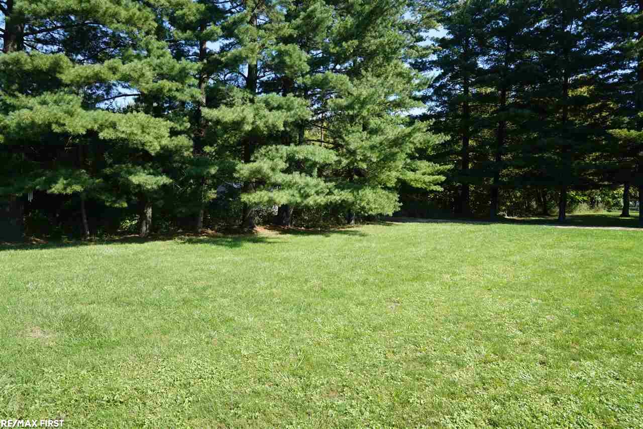16049 Masonic Fraser, MI 48026 - Photo 33 of 34