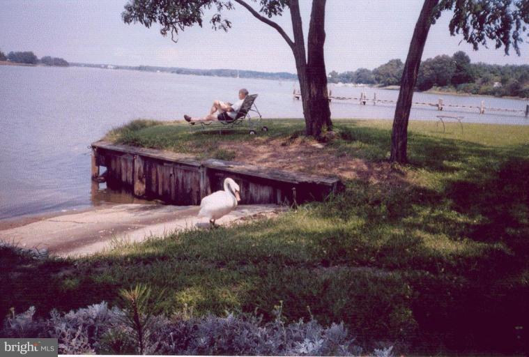 8394 Bozman Neavitt Road St. Michaels, MD 21663 - Photo 5 of 6 Boat Ramp