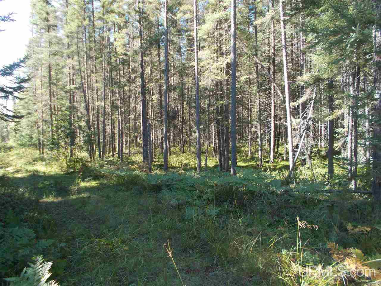 80-acres Co Rd Ffw Republic, MI 49879 - Photo 12 of 21