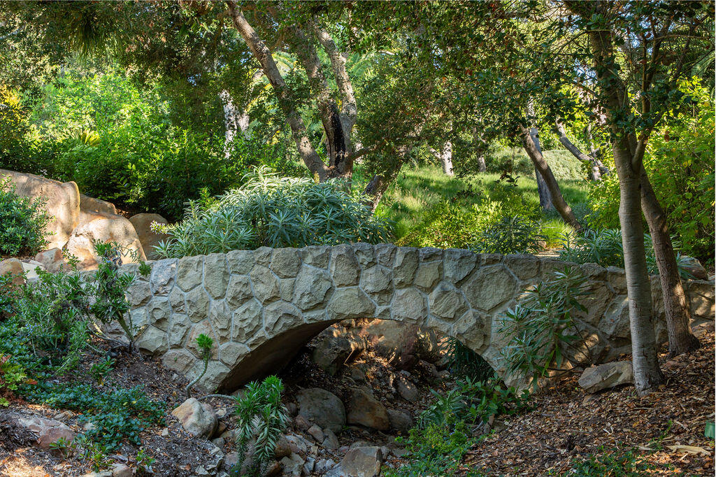 857 Picacho Lane Santa Barbara, CA 93108 - Photo 38 of 46 a view of a lush green forest with lots of trees