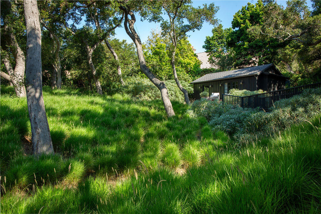857 Picacho Lane Santa Barbara, CA 93108 - Photo 39 of 46 a view of a lush green forest